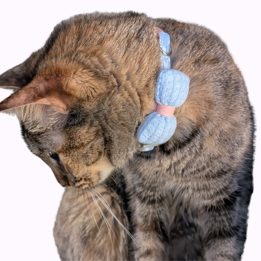 Blue Knit Bow + Polka Dot Cat Collar