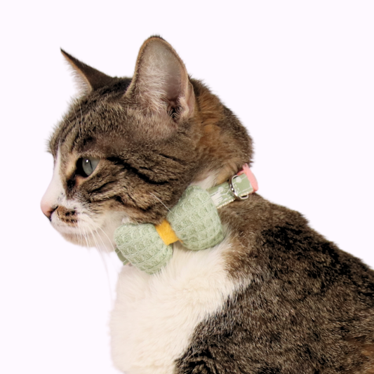 Green Knit Bow + Polka Dot Cat Collar