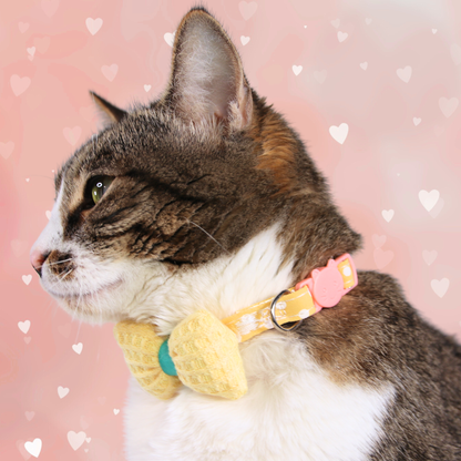 Yellow Knit Bow + Polka Dot Cat Collar