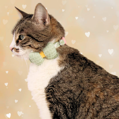 Green Knit Bow + Polka Dot Cat Collar