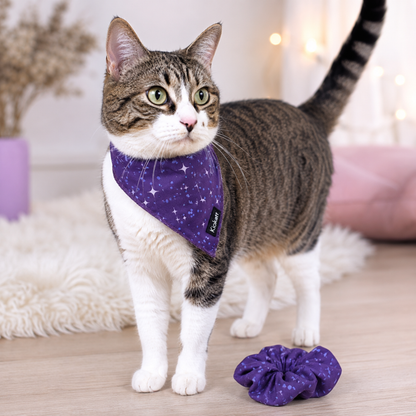 Purple Galaxy Stars Matching Cat Bandana & Scrunchie Set