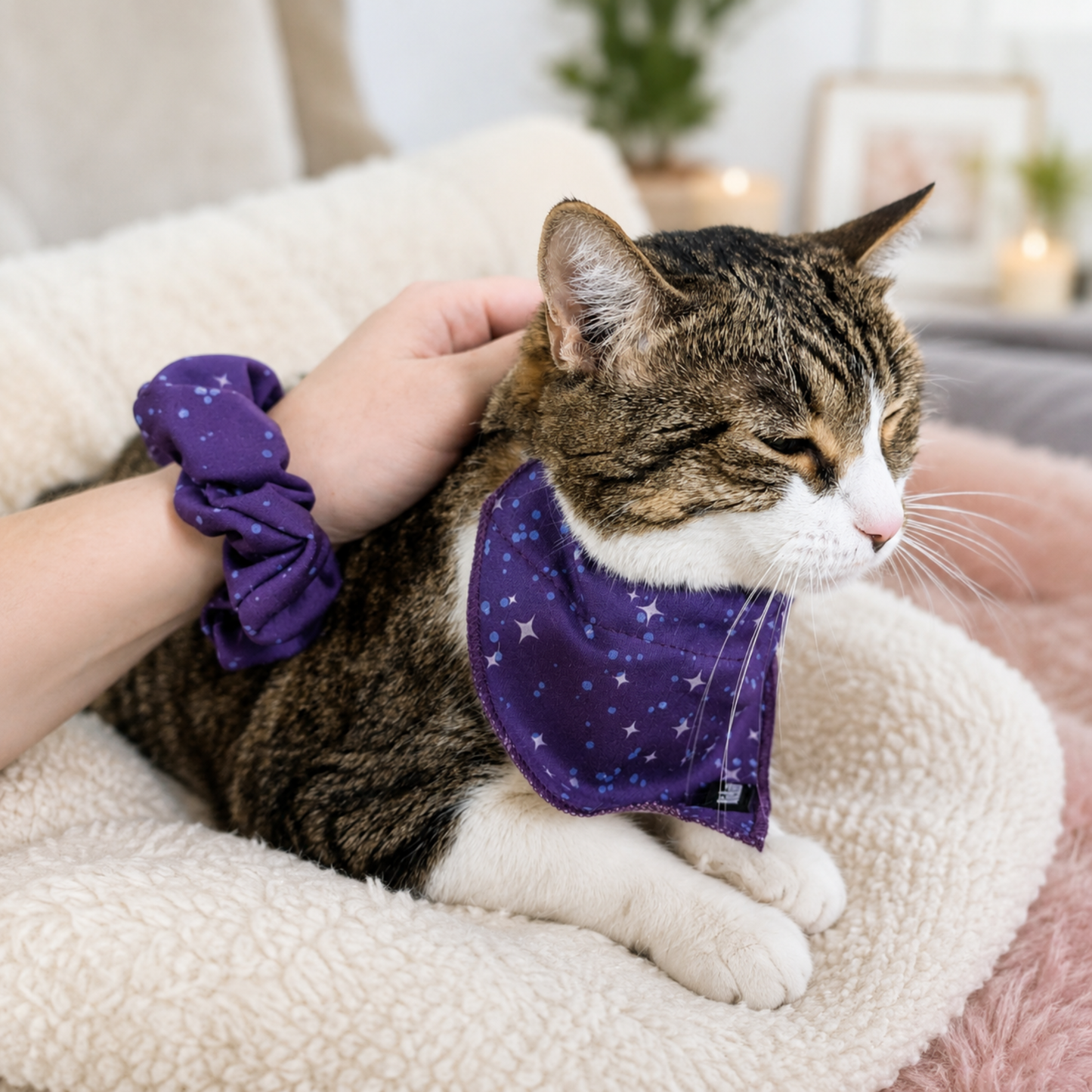Purple Galaxy Stars Matching Cat Bandana & Scrunchie Set