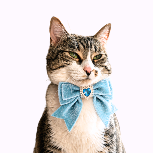 Blue Princess Sparkle Bow Cat Collar