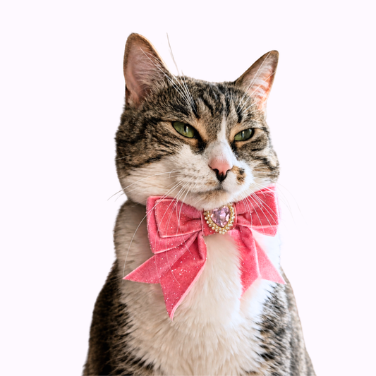 Pink Princess Sparkle Bow Cat Collar