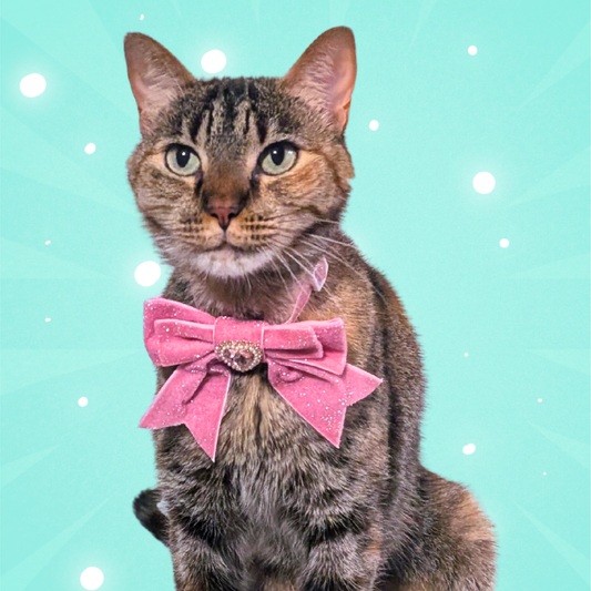 Pretty Pink Princess Sparkle Bow Cat Collar