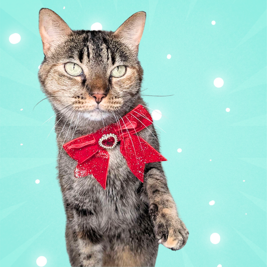Royal Red Princess Sparkle Bow Cat Collar