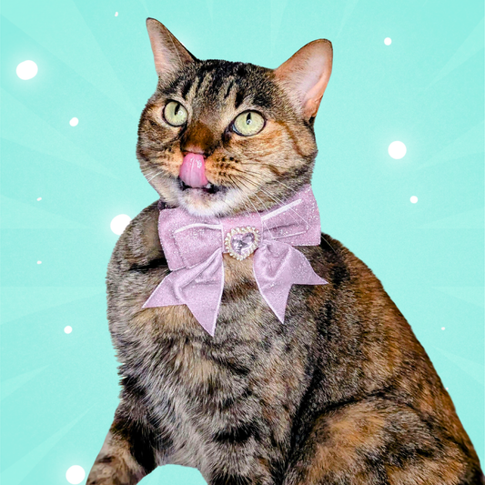 Soft Purple Princess Sparkle Bow Cat Collar