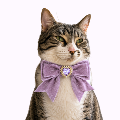 Purple Princess Sparkle Bow Cat Collar