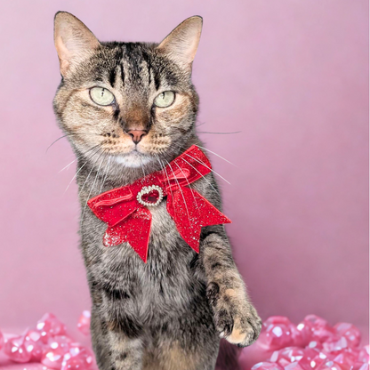 Royal Red Princess Sparkle Bow Cat Collar