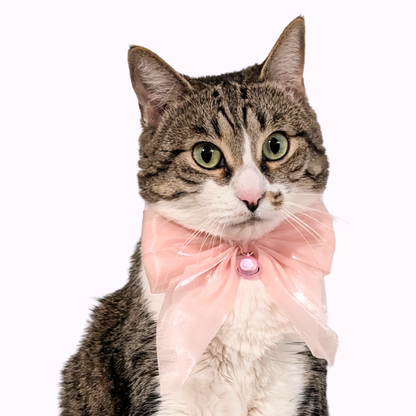 Darling Pink Satin Bow Cat Collar