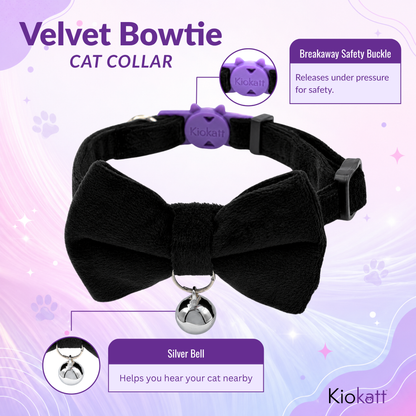 Black Velvet Bowtie + Bell Cat Collar
