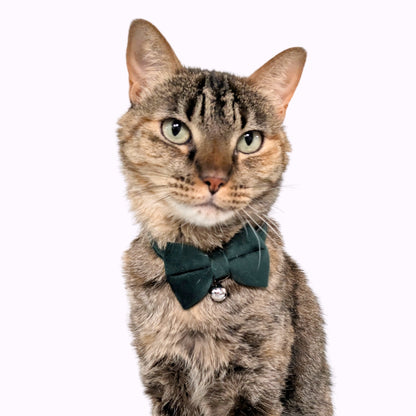 Green Velvet Bowtie + Bell Cat Collar