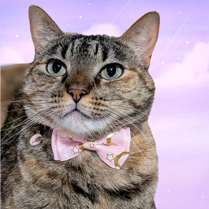Starlit Blush – Pink Celestial Nylon Bowtie Cat Collar