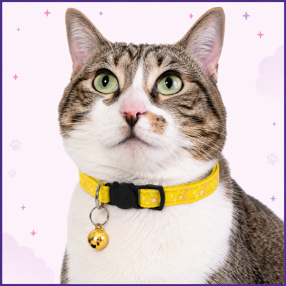 Yellow Celestial Nylon Cat Collar