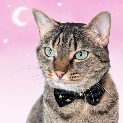 Black Celestial Velvet Bowtie Cat Collar