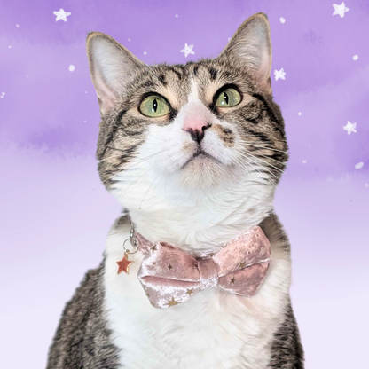 Starlit Blush – Pink Celestial Velvet Bowtie Cat Collar
