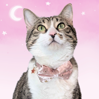 Pink Celestial Velvet Bowtie Cat Collar