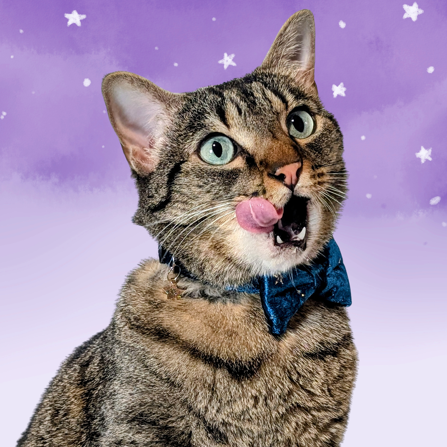Cosmic Twilight – Teal Celestial Velvet Bowtie Cat Collar