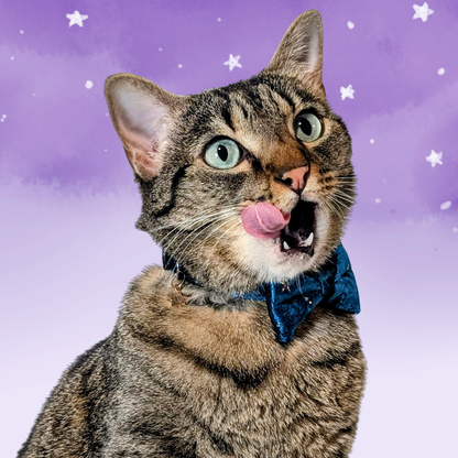 Cosmic Twilight – Teal Celestial Velvet Bowtie Cat Collar