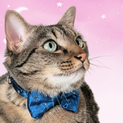 Teal Celestial Velvet Bowtie Cat Collar