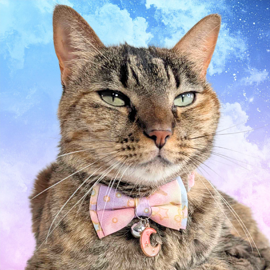 Soft Purple Starfall Galaxy Bowtie Cat Collar