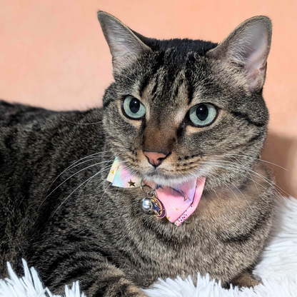 Peach Galaxy Cat Collar