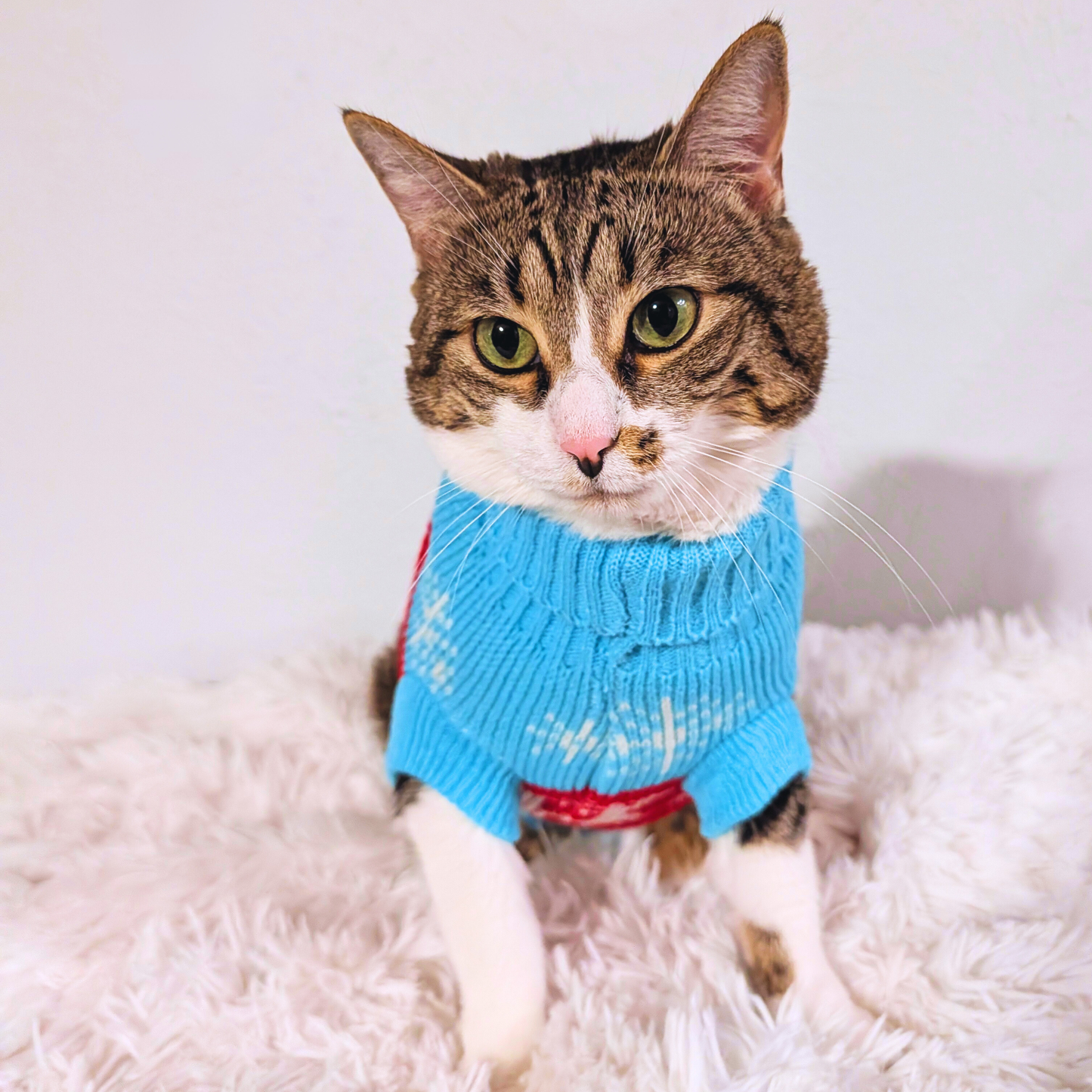 Holiday Knit Pet Sweater – Blue Reindeer Pattern for Cats & Small Dogs