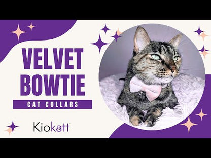 Orange Velvet Bowtie + Bell Cat Collar