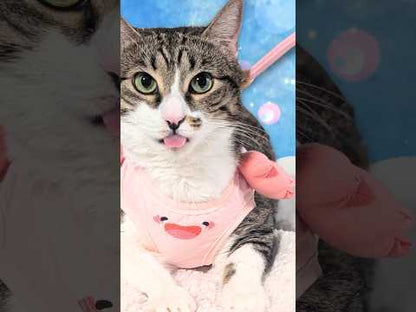 Pink Axolotl Cat Harness + Leash Set
