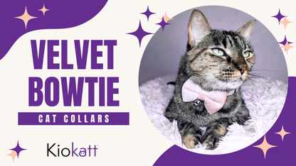 Classic Grey – Velvet Bowtie + Bell Cat Collar