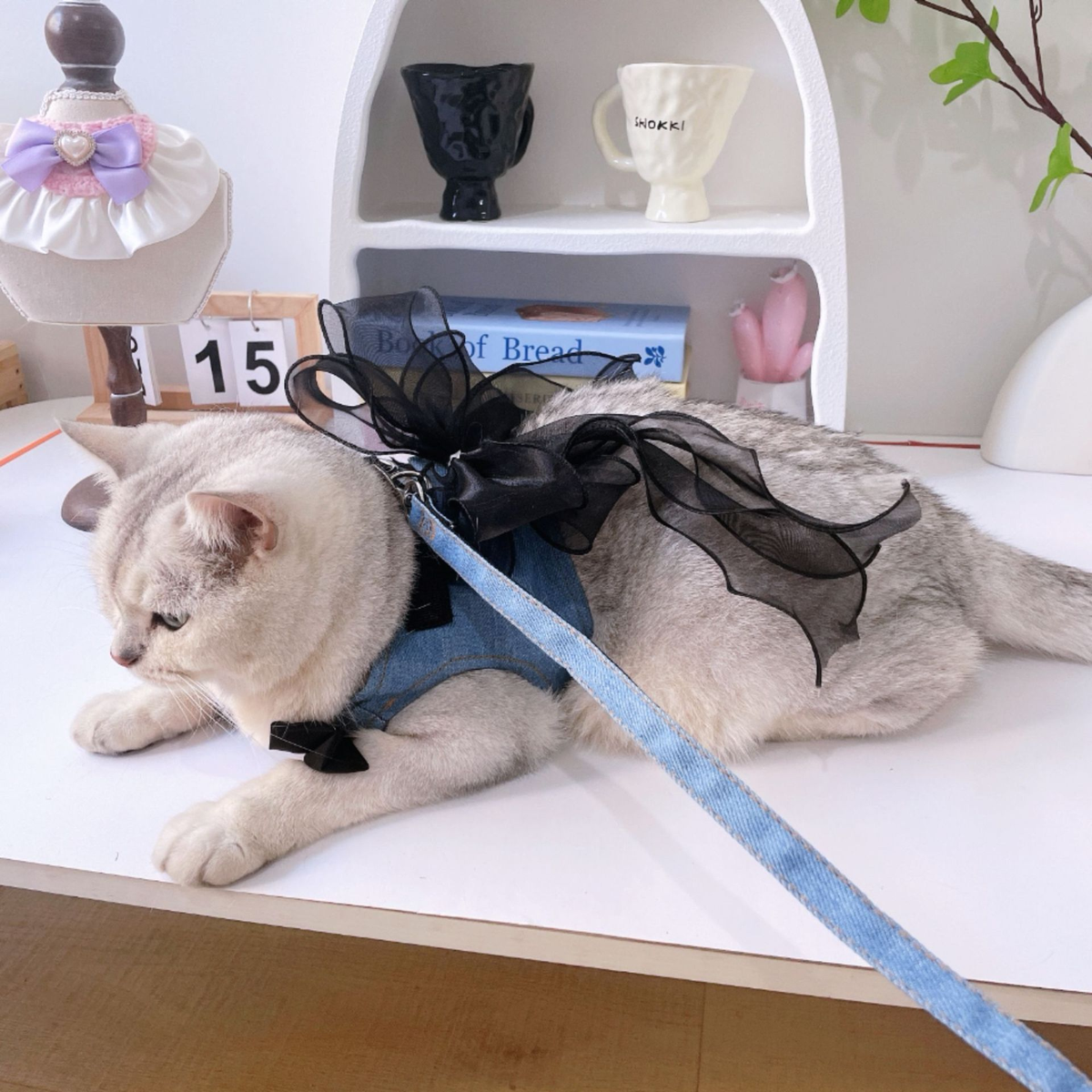 Black Denim Bow Cat Harness with Ribbon Streamers