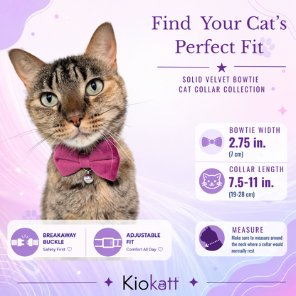 Purple Velvet Bowtie + Bell Cat Collar