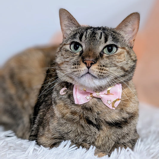 Starlit Blush – Pink Celestial Bowtie Cat Collar