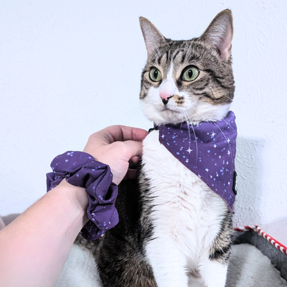 Pawsome Pair – Purple Stars Bandana Cat Collar + Matching Scrunchie