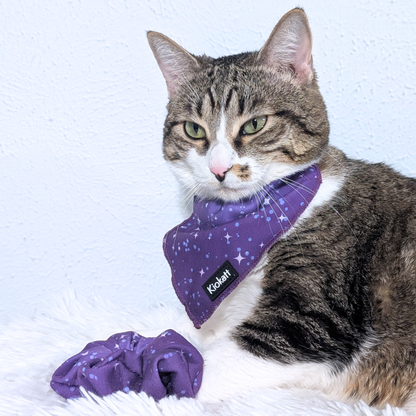 Pawsome Pair – Purple Stars Bandana Cat Collar + Matching Scrunchie