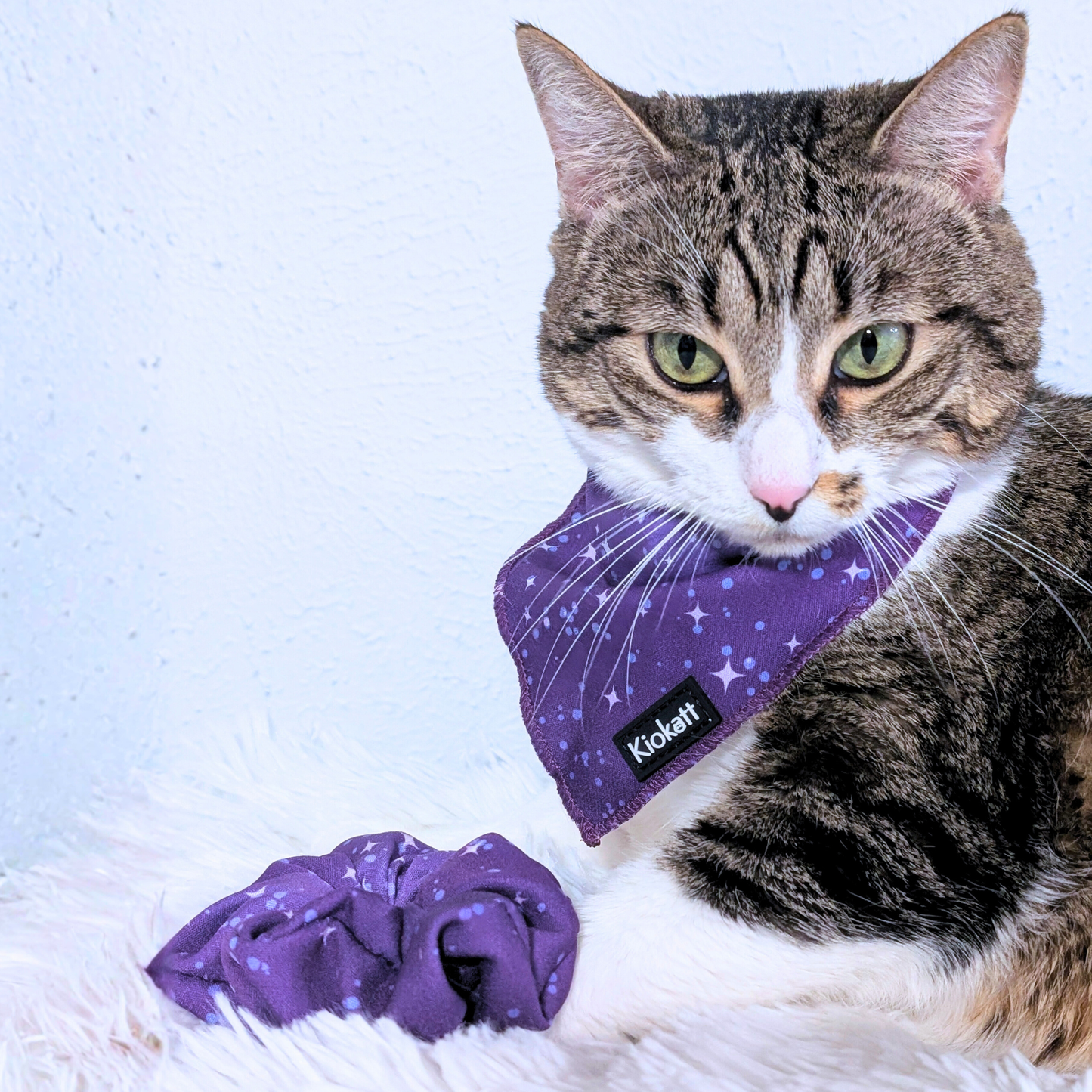 Pawsome Pair – Purple Stars Bandana Cat Collar + Matching Scrunchie