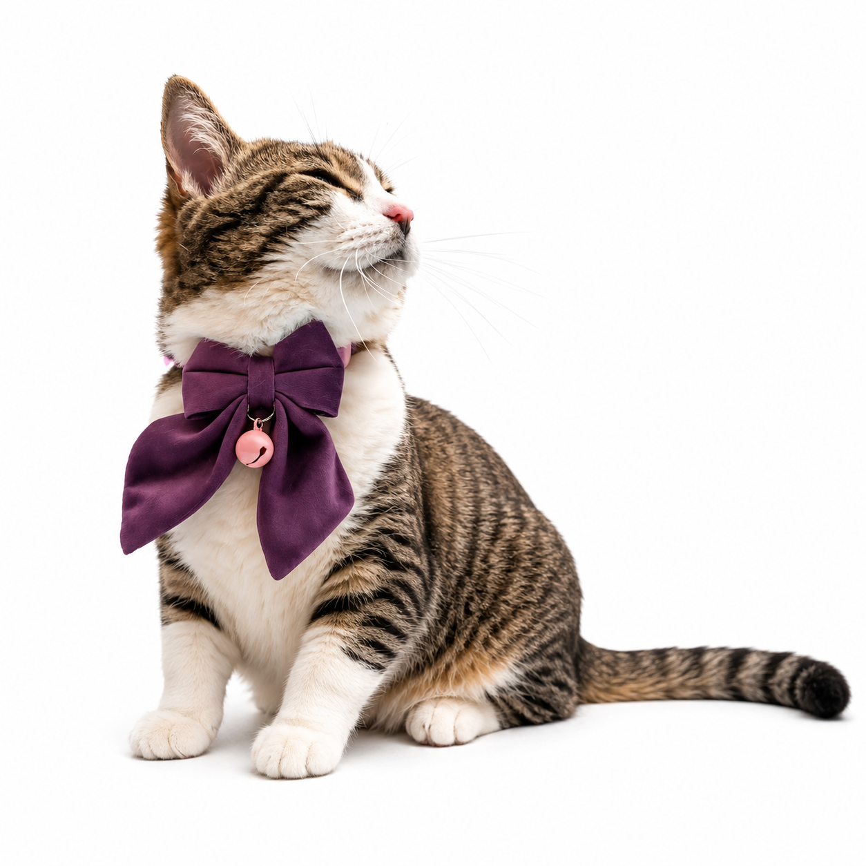 Purple sailor bow cat collar
