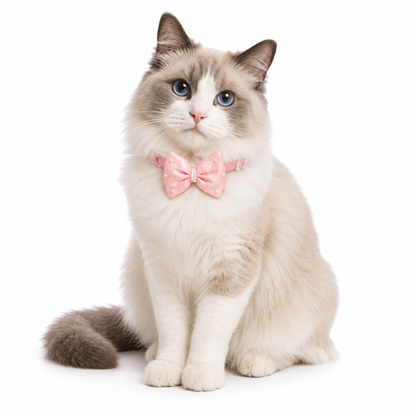 Satin Puffed Bow Cat Collar Set of 2 - Pink & Purple