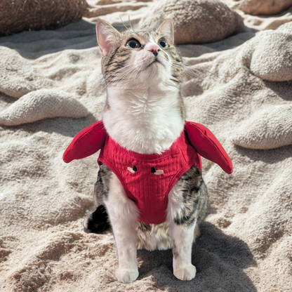 Red Crab Cat Harness + Leash Set