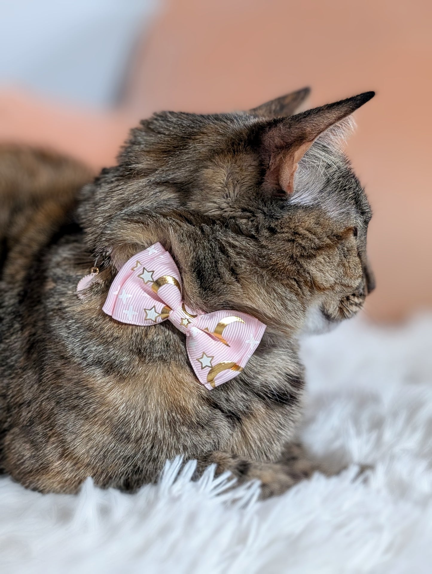 Starlit Blush – Pink Celestial Bowtie Cat Collar