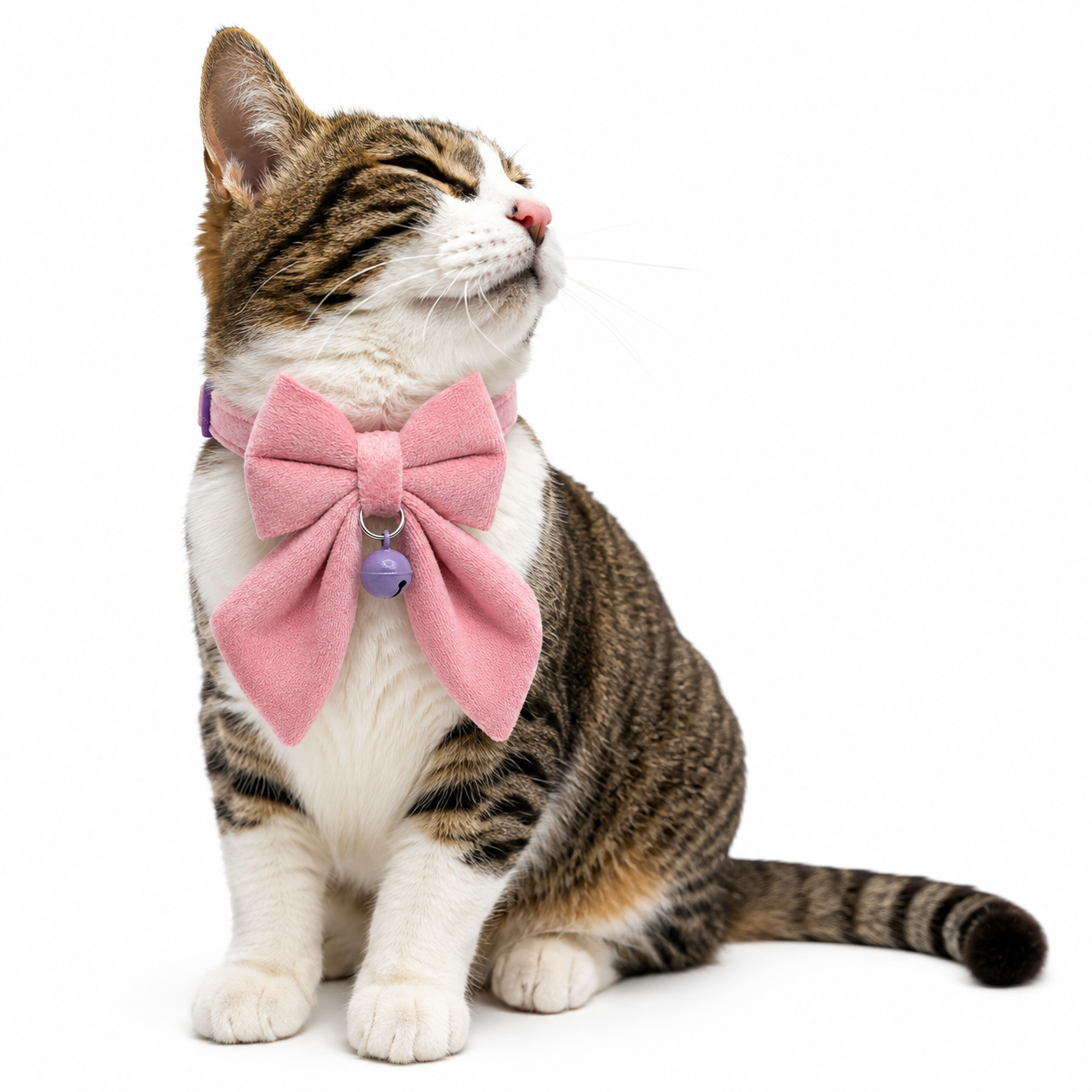 Purple sailor bow cat collar