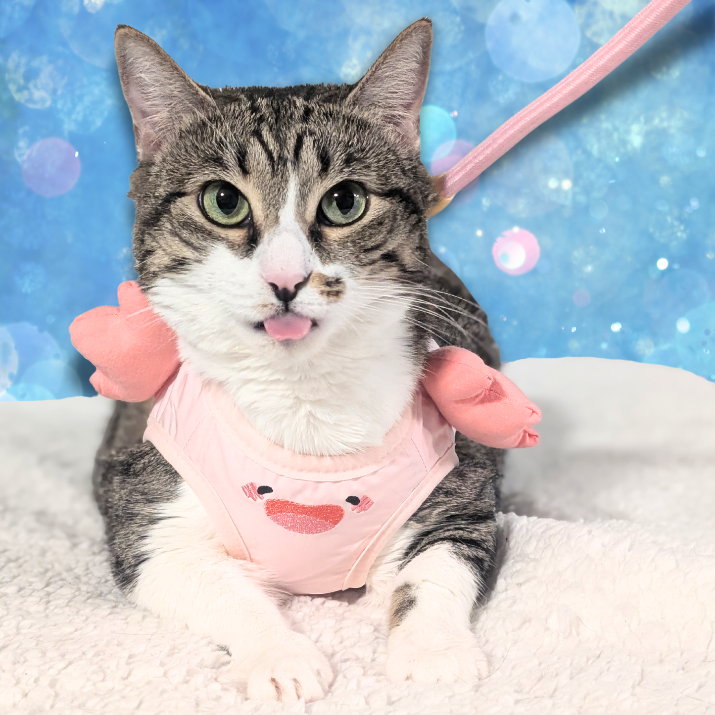 Pink Axolotl Cat Harness + Leash Set