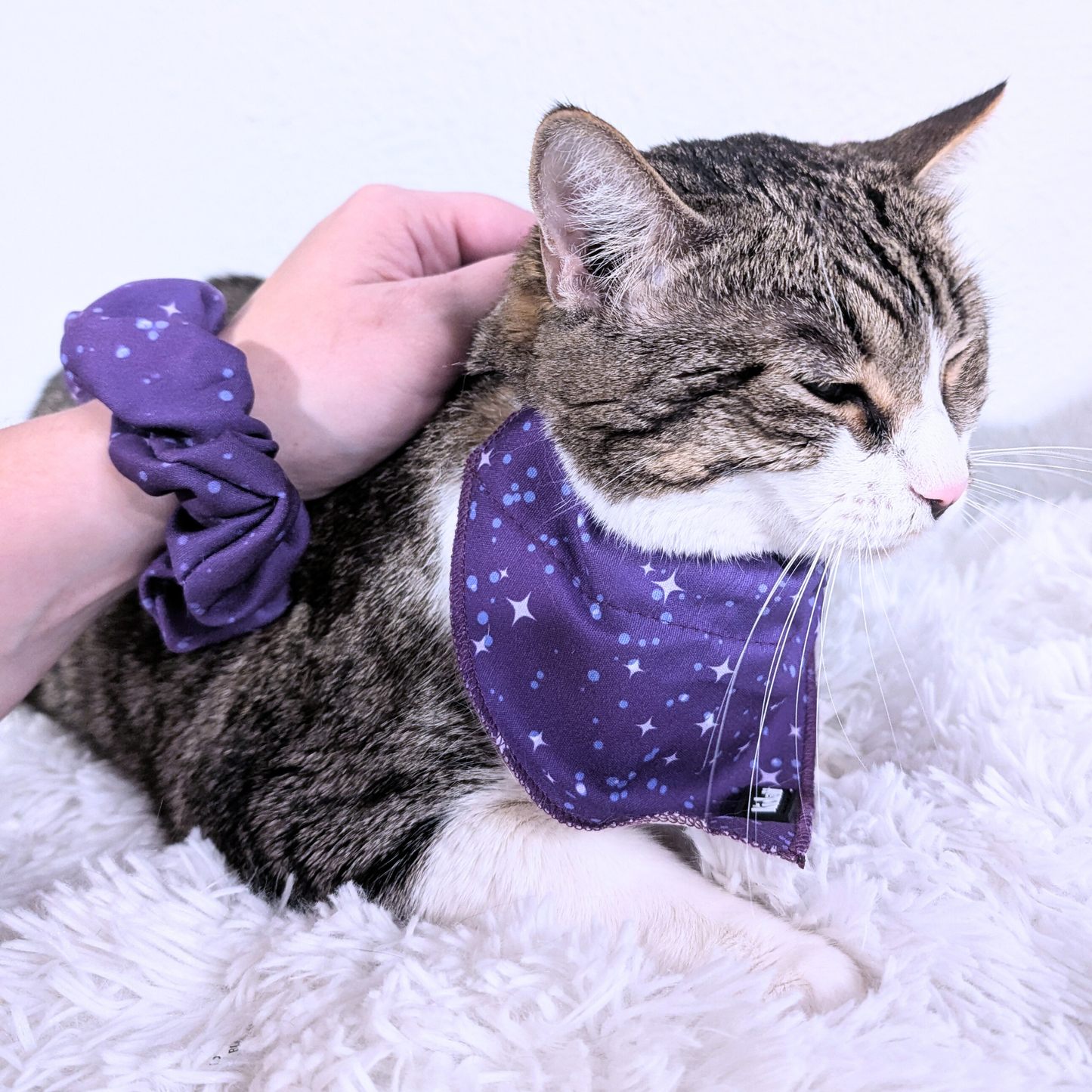 Pawsome Pair – Purple Stars Bandana Cat Collar + Matching Scrunchie