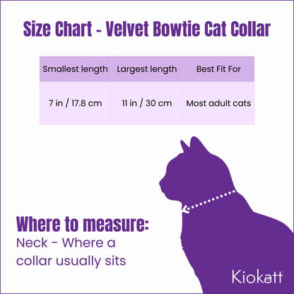 Majestic Purple – Velvet Bowtie + Bell Cat Collar